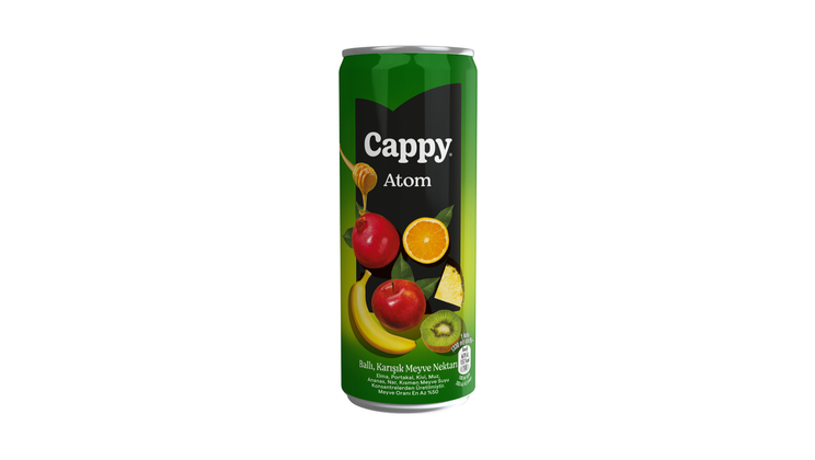 Cappy Atom Kutu Meyve Suyu